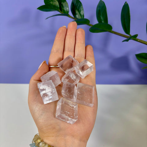 Hand holding several small, translucent purple optical calcite prisms with natural rhombohedral crystal shapes.
