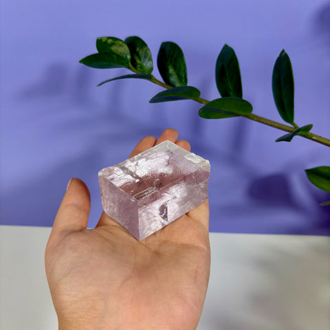 Hand holding a translucent, rectangular purple optical calcite prism against a purple background with green leaves.