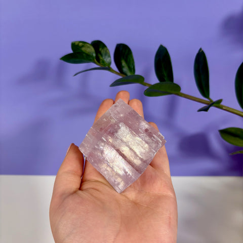 Hand holding a translucent purple optical calcite prism with a geometric, layered crystal structure against a purple background.
