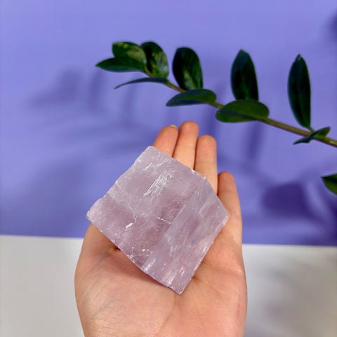 Translucent purple optical calcite prism cube held in a palm against a purple background with green leaves.