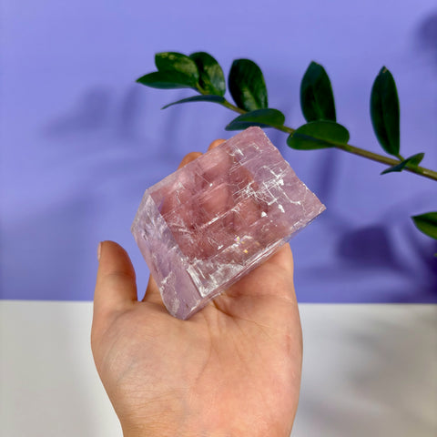 Hand holding a translucent, purple optical calcite prism with natural geometric cleavage against a purple background.