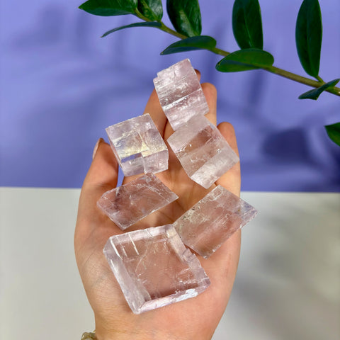 Hand holding several translucent, light purple optical calcite prisms with natural geometric cubic shapes.