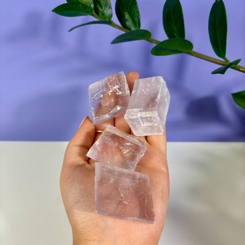 Hand holding three clear, rectangular purple optical calcite prisms against a purple background with green leaves.