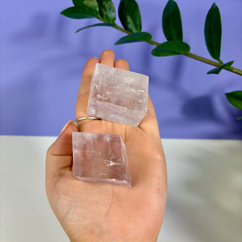 Two translucent purple optical calcite prisms held in a palm against a purple and white background.