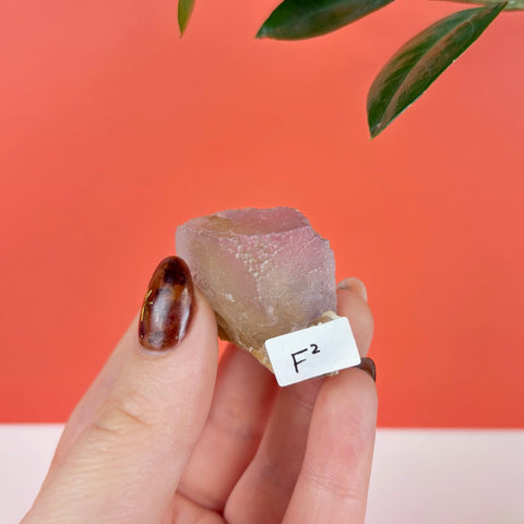 Hand holding a translucent purple prism fluorite crystal specimen with a small F2 identification tag.