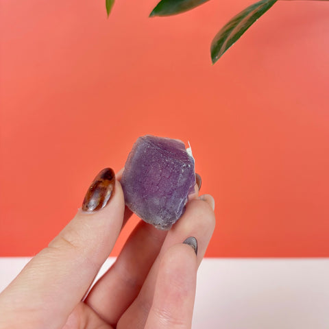 Hand holding a raw, deep purple prism fluorite crystal against a vibrant orange and white background.