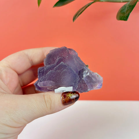 Hand holding a raw, deep purple fluorite crystal cluster with geometric facets against a coral background.