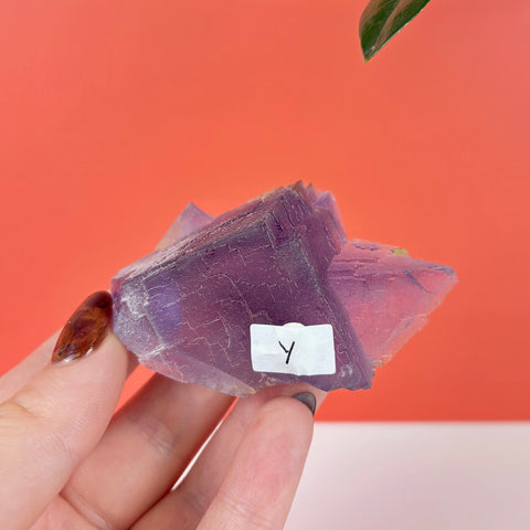 Handheld purple fluorite crystal specimen with distinct cubic geometric structure and a small label marked Y.