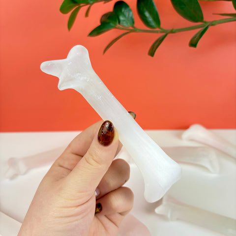 Satin Spar Dry Bone - Kenna's Crystals