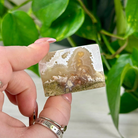 Scenic Moss Agate Cabochon 66 5 - Kenna's Crystals from TikTok