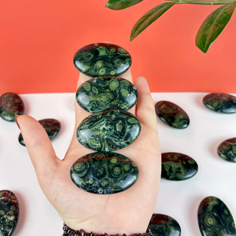 Hand holding four polished, oval Kambaba Jasper palm stones with dark green and black orbicular patterns.
