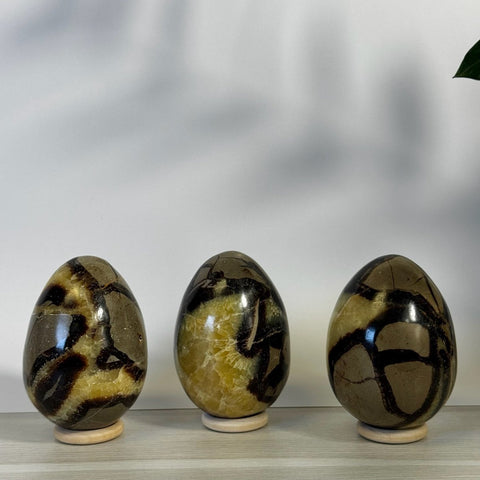 Septarian Egg 33 1 - Kenna's Crystals from TikTok