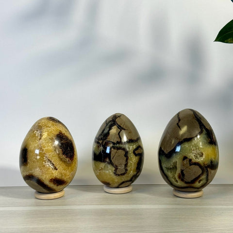 Septarian Egg 44 2 - Kenna's Crystals from TikTok