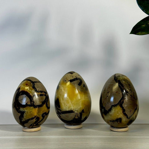 Septarian Egg 55 3 - Kenna's Crystals from TikTok