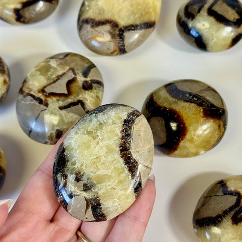 Septarian Palm Stone 11 2 - Kenna's Crystals from TikTok
