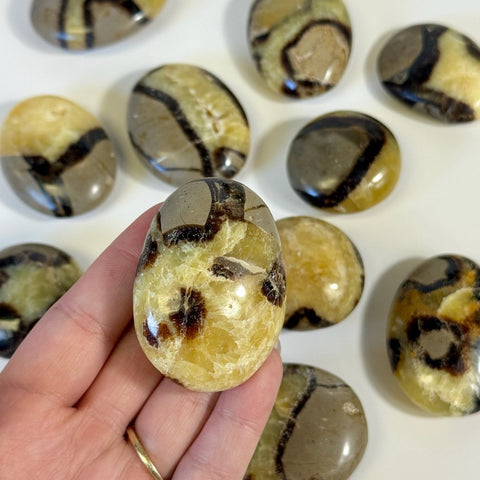 Septarian Palm Stone 8 1 - Kenna's Crystals from TikTok