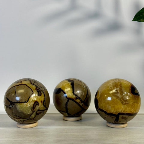 Septarian Sphere 44 2 - Kenna's Crystals from TikTok