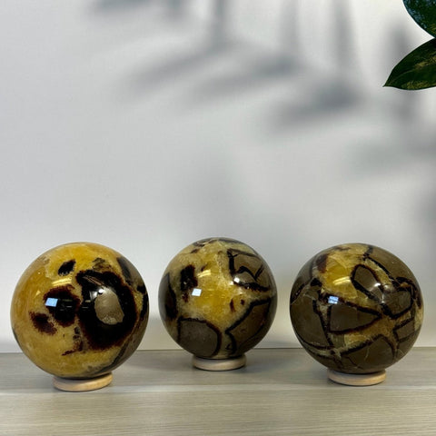 Septarian Sphere 55 3 - Kenna's Crystals from TikTok