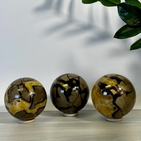 Septarian Sphere 77 5 - Kenna's Crystals from TikTok