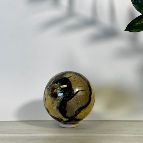 Septarian Sphere 88 6 - Kenna's Crystals from TikTok