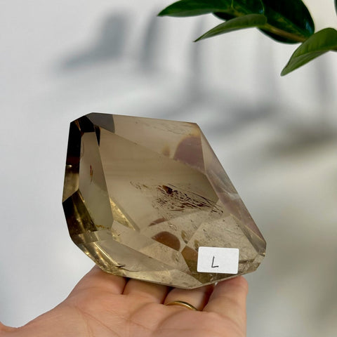 Smoky Quartz Free Form L 12 - Kenna's Crystals from TikTok