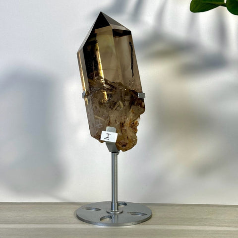 Smoky Quartz Point with Custom Stand I 9 - Kenna's Crystals from TikTok