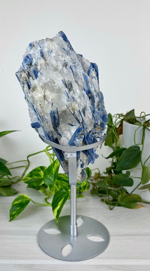 Statement Kyanite Cluster with Custom Stand A 2 - Kenna's Crystals from TikTok