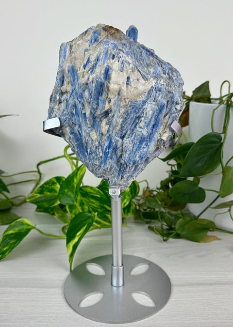 Statement Kyanite Cluster with Custom Stand B 3 - Kenna's Crystals from TikTok