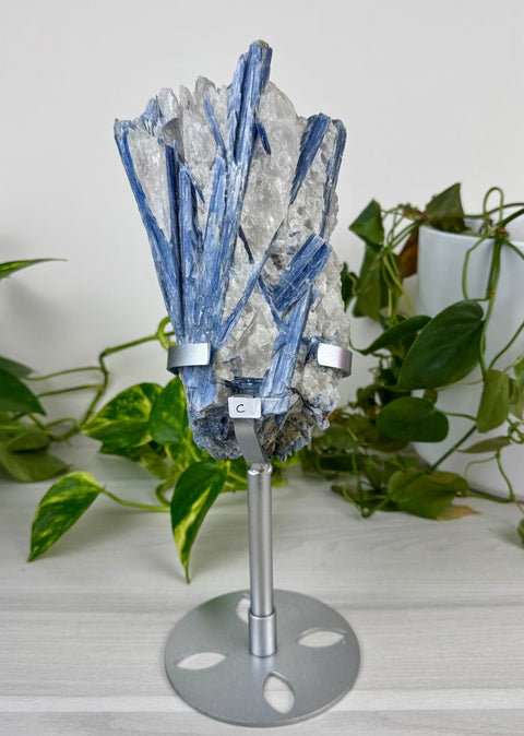 Statement Kyanite Cluster with Custom Stand C 4 - Kenna's Crystals from TikTok