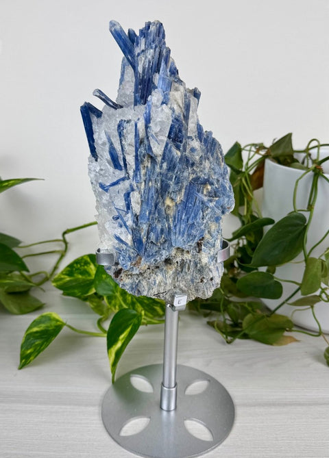 Statement Kyanite Cluster with Custom Stand E 1 - Kenna's Crystals from TikTok