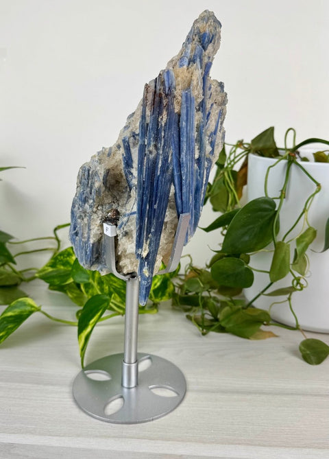Statement Kyanite Cluster with Custom Stand F 6 - Kenna's Crystals from TikTok