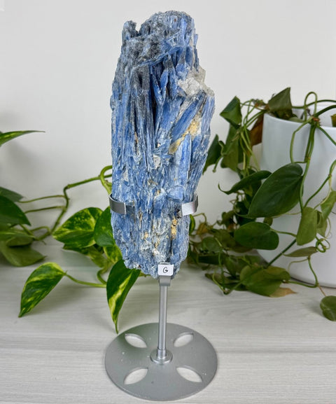 Statement Kyanite Cluster with Custom Stand G 7 - Kenna's Crystals from TikTok