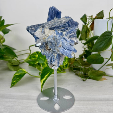Statement Kyanite Cluster with Custom Stand I 9 - Kenna's Crystals from TikTok