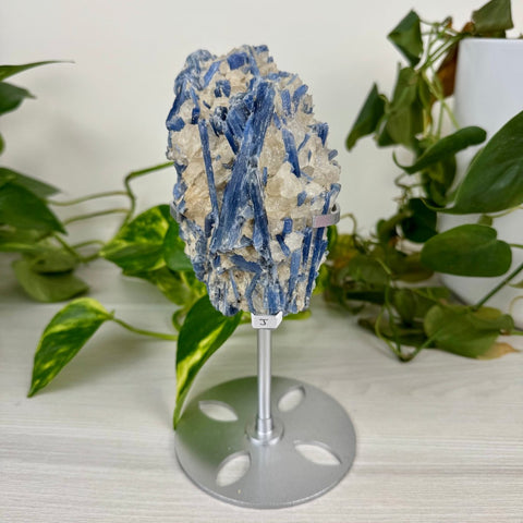 Statement Kyanite Cluster with Custom Stand J 10 - Kenna's Crystals from TikTok