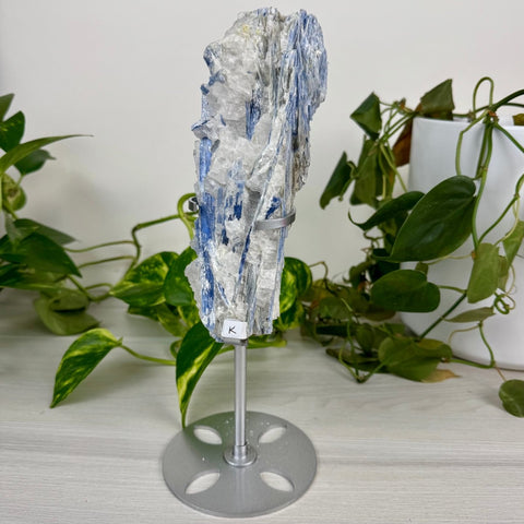 Statement Kyanite Cluster with Custom Stand K 11 - Kenna's Crystals from TikTok