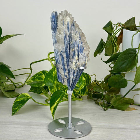 Statement Kyanite Cluster with Custom Stand L 12 - Kenna's Crystals from TikTok