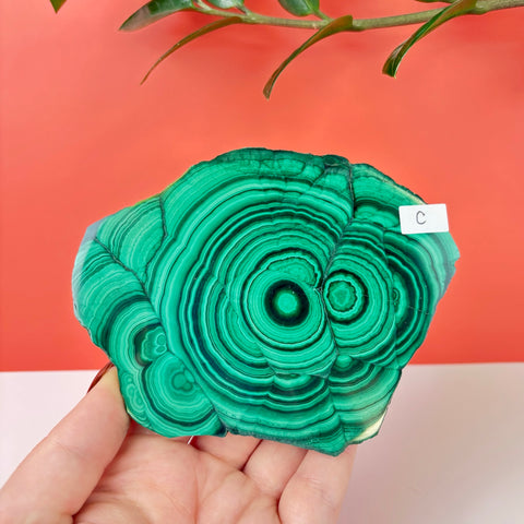 Statement Meadow Malachite - Kenna's Crystals