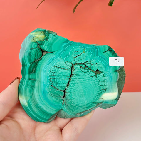Statement Meadow Malachite - Kenna's Crystals
