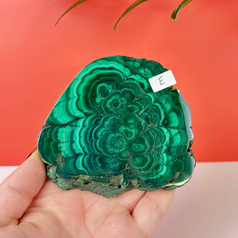 Statement Meadow Malachite - Kenna's Crystals