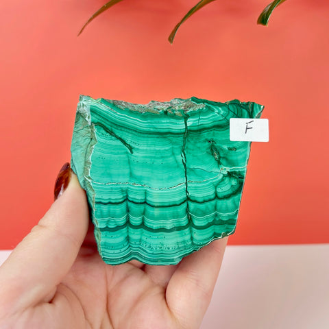 Statement Meadow Malachite - Kenna's Crystals