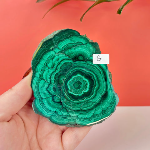 Statement Meadow Malachite - Kenna's Crystals