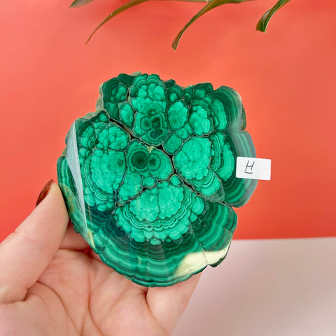 Statement Meadow Malachite - Kenna's Crystals