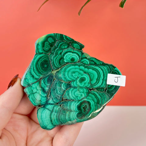 Statement Meadow Malachite - Kenna's Crystals