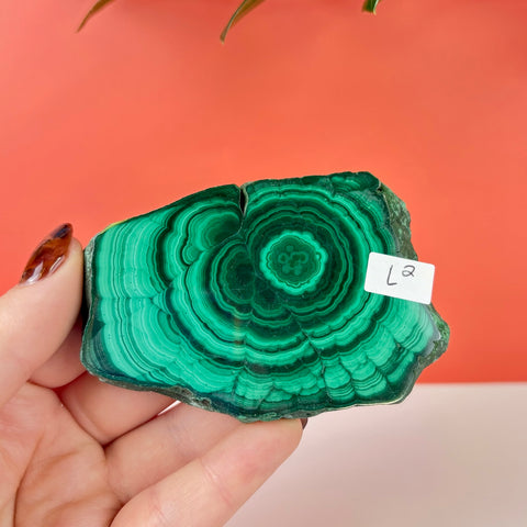Statement Meadow Malachite - Kenna's Crystals