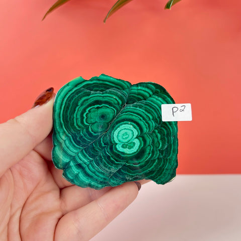 Statement Meadow Malachite - Kenna's Crystals