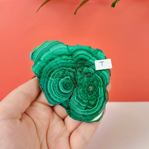 Statement Meadow Malachite - Kenna's Crystals
