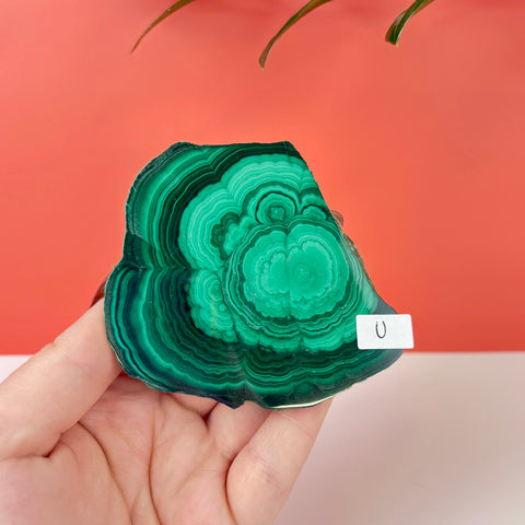 Statement Meadow Malachite - Kenna's Crystals