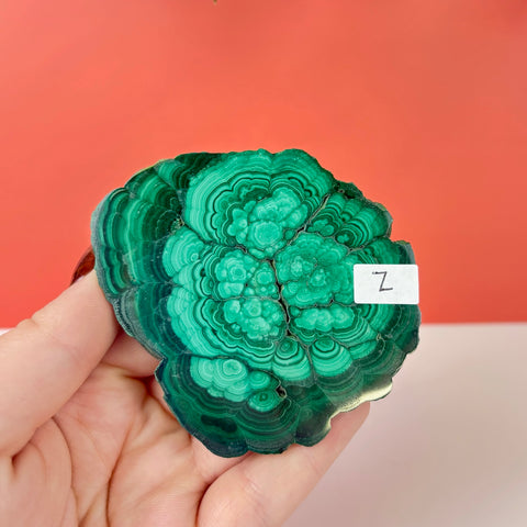 Statement Meadow Malachite - Kenna's Crystals