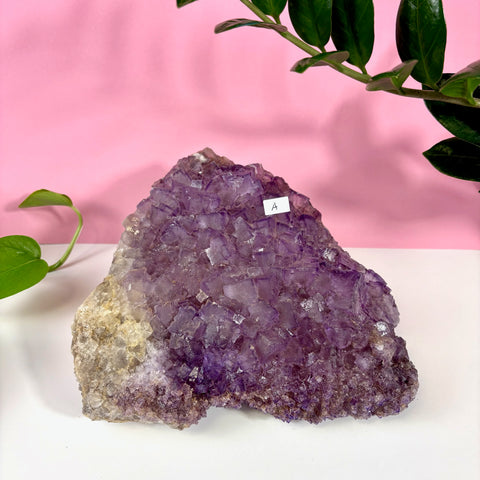 Statement Purple Turkish Fluorite - Kenna's Crystals