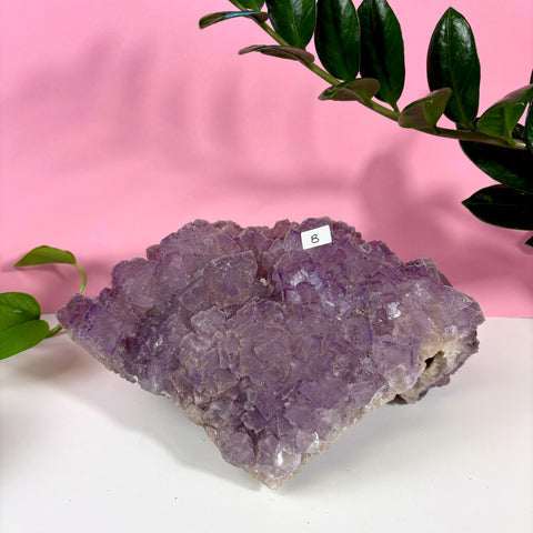 Statement Purple Turkish Fluorite - Kenna's Crystals
